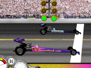 Goosehead Racing Game Online